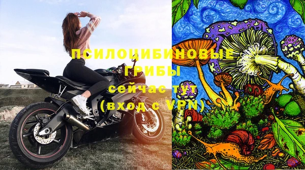 гидра Переславль-Залесский