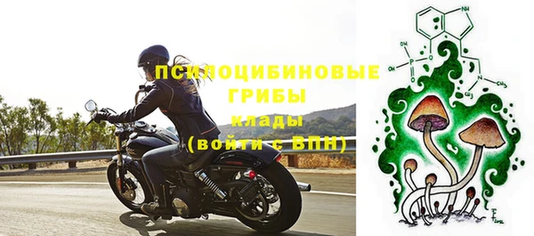 гидра Абдулино