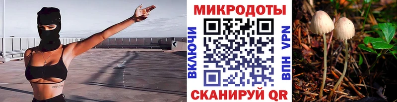 Псилоцибиновые грибы GOLDEN TEACHER Александровск