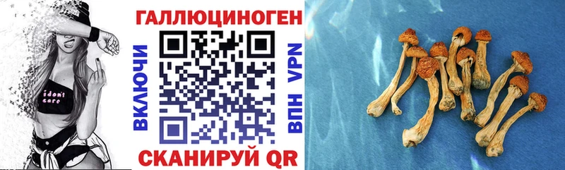 магазин  наркотиков  Александровск  MEGA   Галлюциногенные грибы GOLDEN TEACHER 